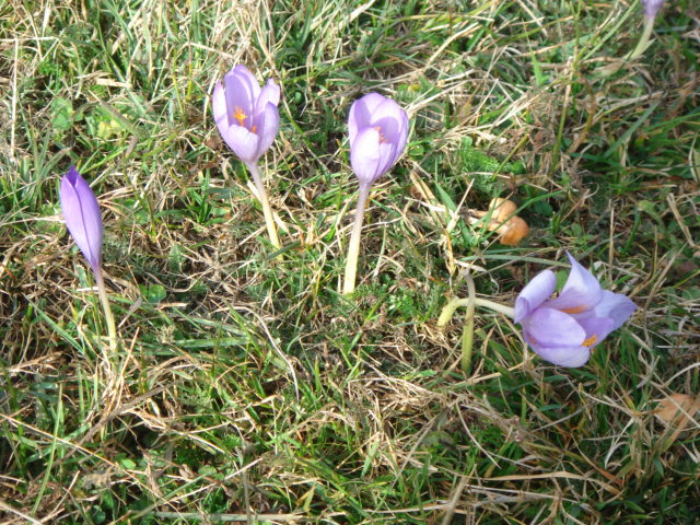 DSC01078.JPG