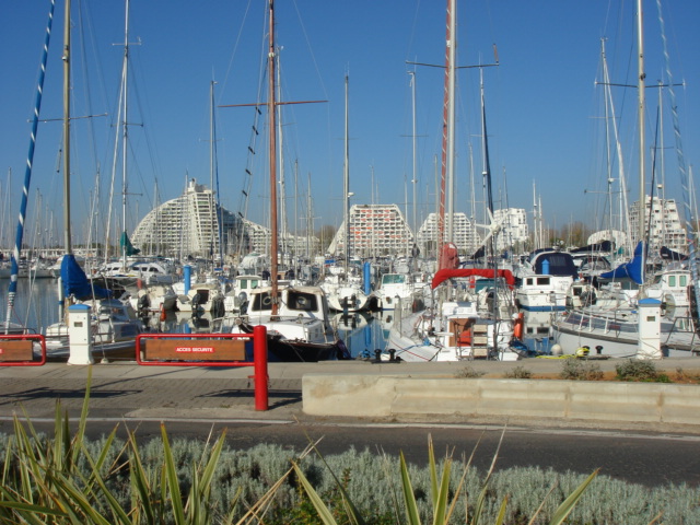 DSC01137.JPG