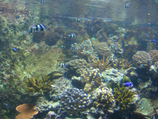 DSC01148.JPG