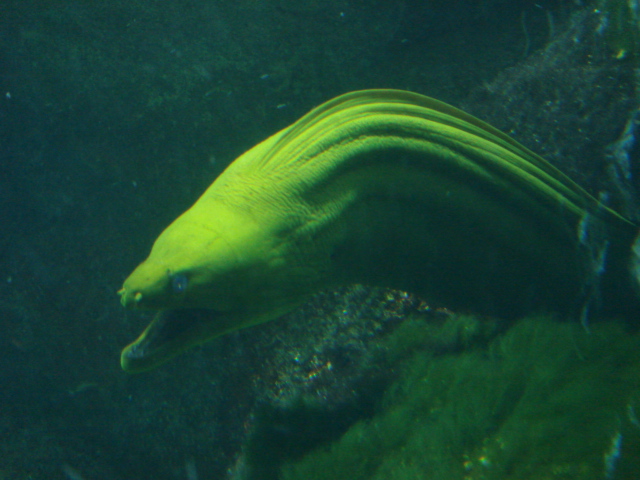 DSC01146.JPG