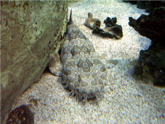 PICT0191.JPG