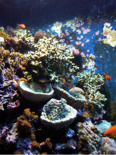 PICT0197.JPG