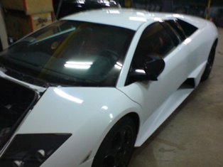 Murcielago blanche nacrée av.JPG