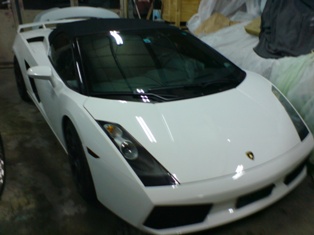 Gallardo blanche nacrée.JPG