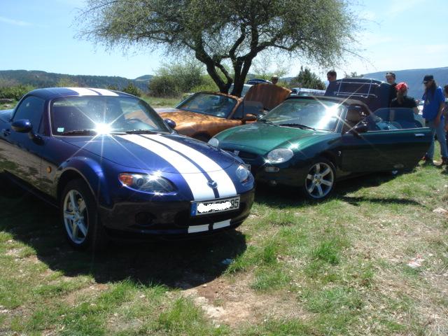 DSC01981m.jpg
