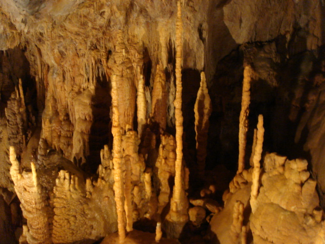 DSC01923.JPG