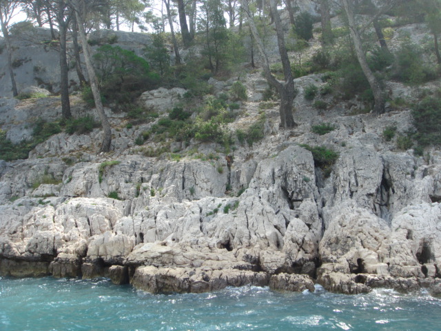 DSC02083.JPG