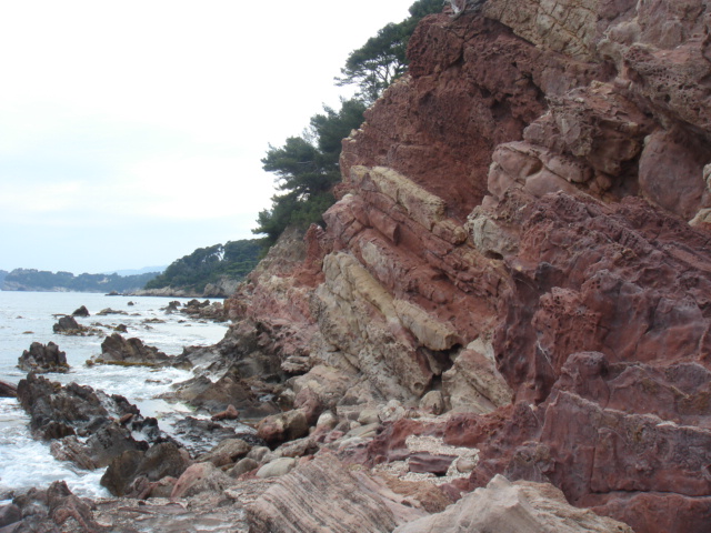 DSC02059.JPG