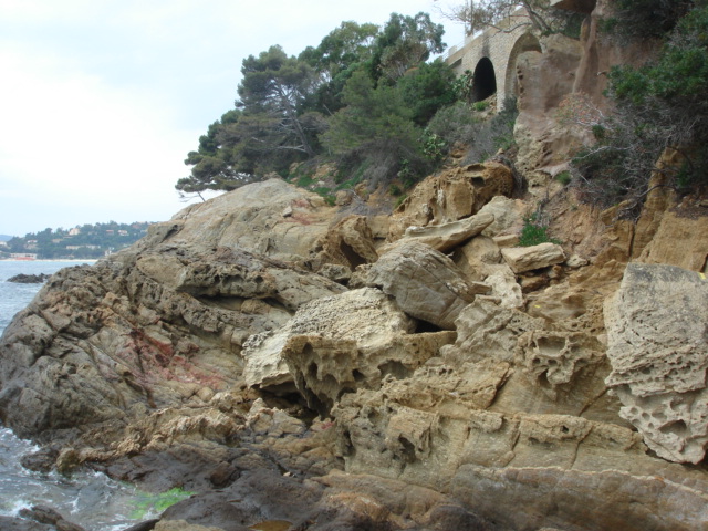 DSC02186.JPG