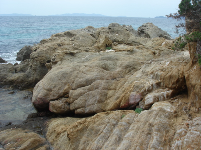 DSC02180.JPG