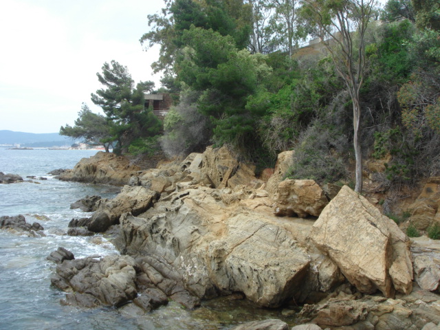 DSC02181.JPG