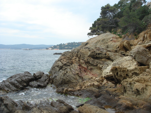 DSC02187.JPG