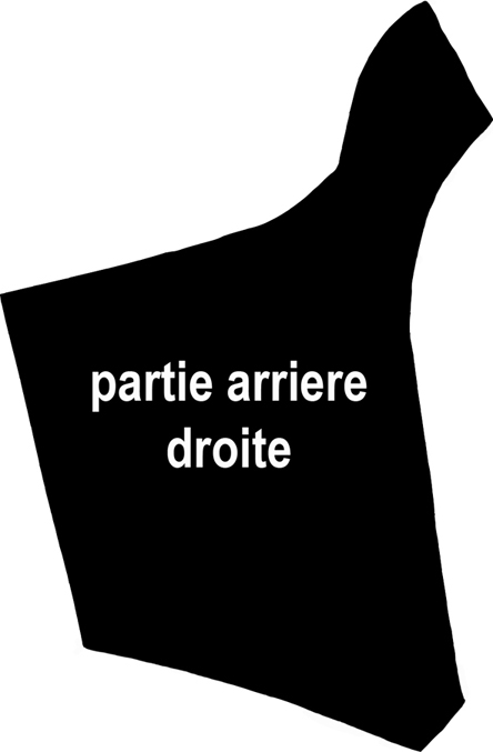 rotor arriere droite.jpg