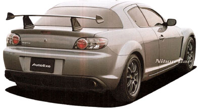aileron nihon car.jpg