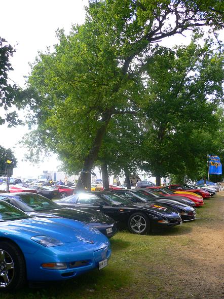 Corvette Club !!