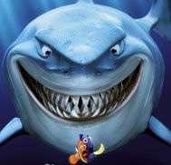 Pfilm1215371331923.jpg