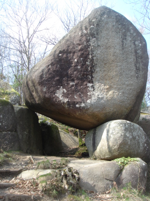 DSC04319.JPG