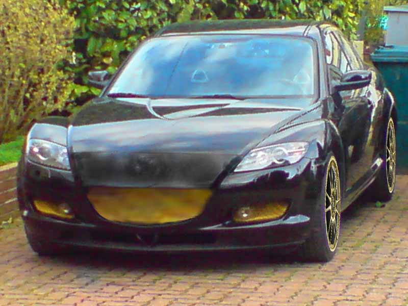 photoshoprx8.jpg
