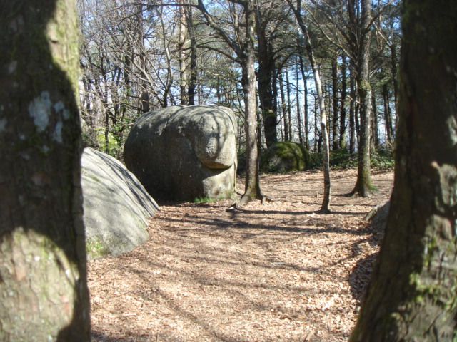 DSC04362.JPG