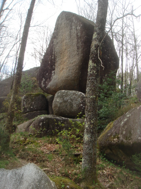 DSC04370.JPG