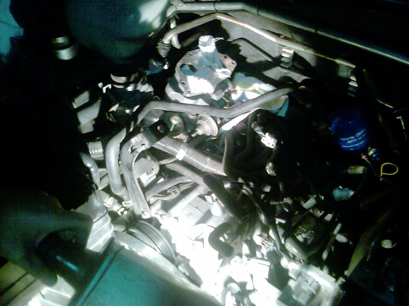 cmpartiment moteur...bien vide
