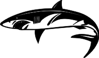 requin2.png