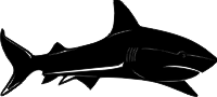 requin3.png