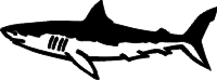 requin5.png