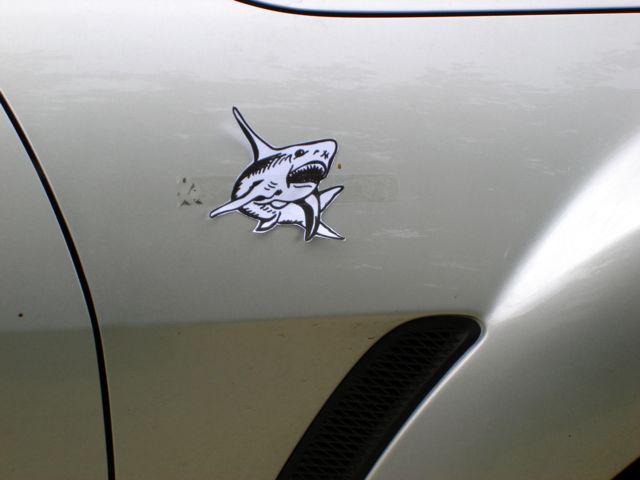 requin1-rx8.jpg