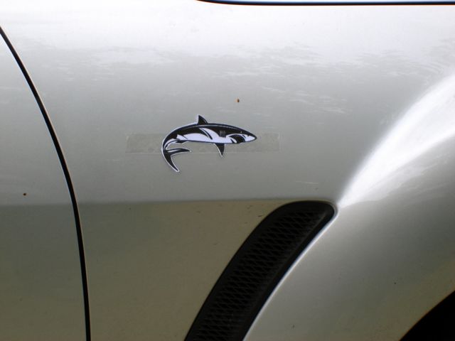 requin2-rx8.jpg