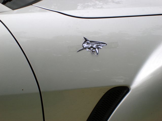 requin4-rx8.jpg