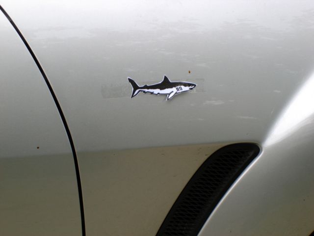 requin5-rx8.jpg