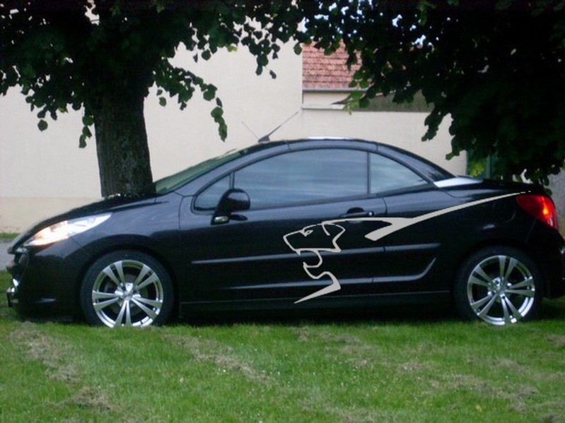vinyle peugeot v argenté fofo.jpg