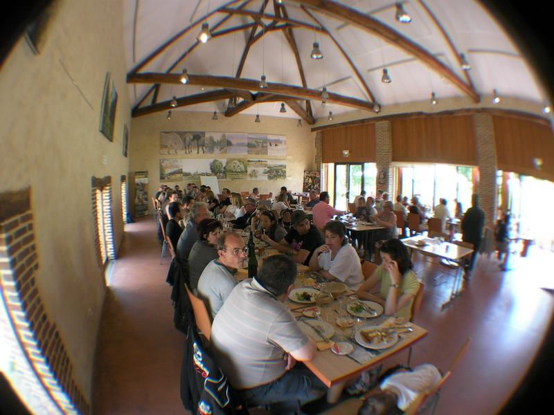 SANY0146.JPG