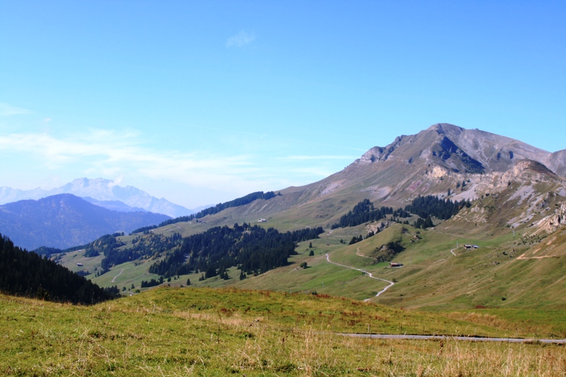 IMG_8226.JPG