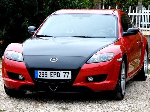 Rx8 modif plaque origine500.JPG