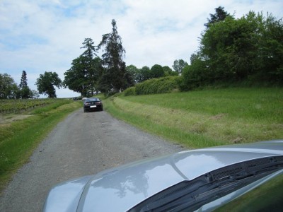 DSC00784.jpg