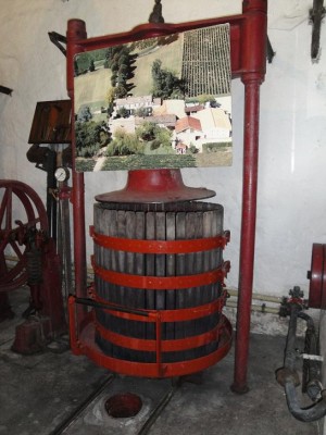 DSC00807.jpg