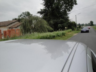 DSC00864.jpg