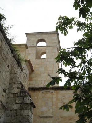 DSC00908.jpg
