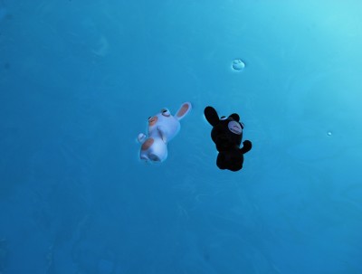 Lapin (1).JPG