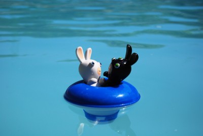 Lapin (2).JPG