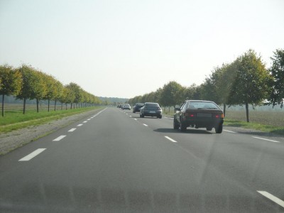 DSC02133.jpg
