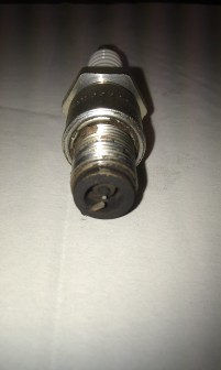 IMAG0234bis.jpg