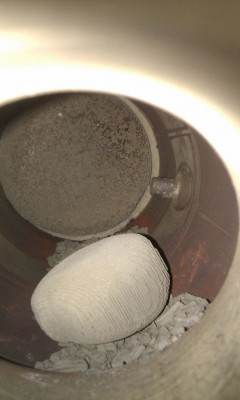 IMAG0255bis.jpg