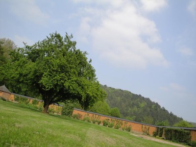 DSC03246.JPG
