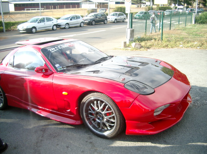 IMGP5615_1_1.JPG