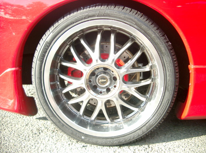 IMGP5623_1_1.JPG