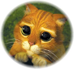 Chat potté.png