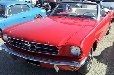 mustang.jpg